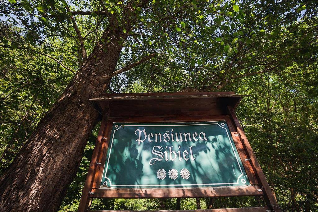 Pensiunea シビエル エクステリア 写真